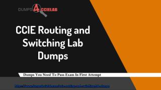 CCIE Routing and Switching Lab Dumps4ccielab 2 (1).pdf