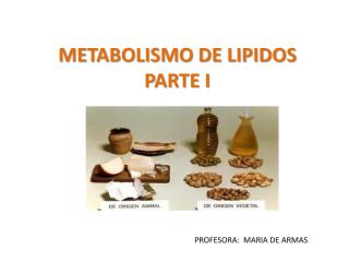 METABOLISMO DE LOS LIPIDOS m I.pdf