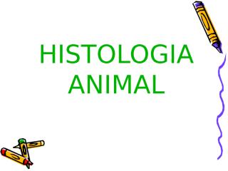 HISTOLOGIA ANIMAL aula 10.ppt
