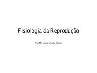 S. Reprodutor Feminino e masculino - resumo.pdf