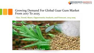 Guar Gum Market.pdf